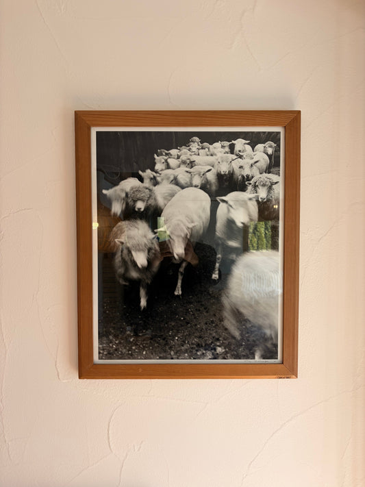 Theme_ frames in my mind.